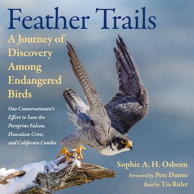 Feather Trails