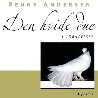 Den hvide due : tildragelser – omslag til lydbogen af Benny Andersen