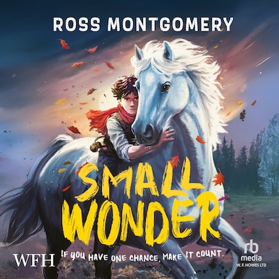 Small Wonder – omslag til lydbogen af Ross Montgomery