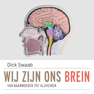 Wij zijn ons brein