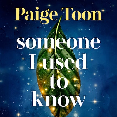 Someone I Used to Know