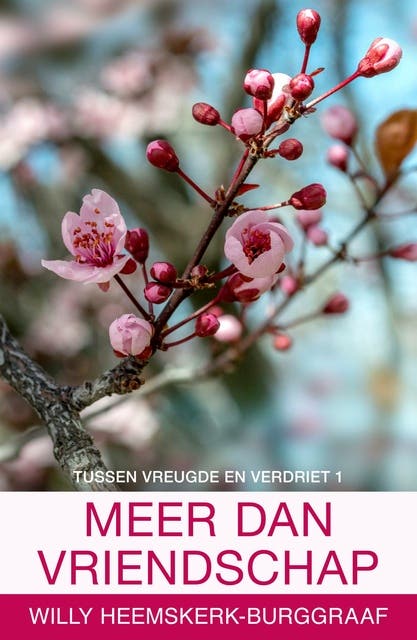 Meer dan vriendschap – omslag van het luisterboek van Willy Heemskerk-Burggraaf