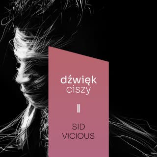 Sid Vicious – okładka audiobooka, autor Justyna Mazur