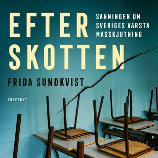 Efter skotten : Sanningen om Sveriges värsta masskjutning