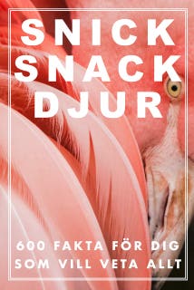Snick Snack Djur 2 – omslag till ljudboken av Nicotext Förlag