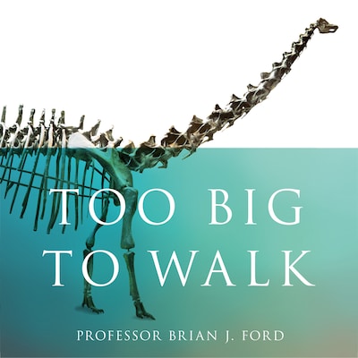 Too Big to Walk