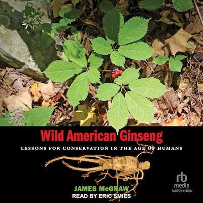 Wild American Ginseng – omslag til lydbogen af James McGraw