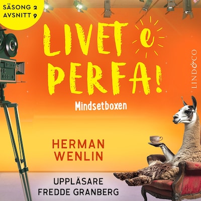 Mindsetboxen (S2E9 Livet e perfa!)