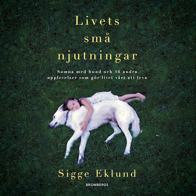 Livets små njutningar : somna med hund och 46 andra upplevelser som gör livet värt att leva