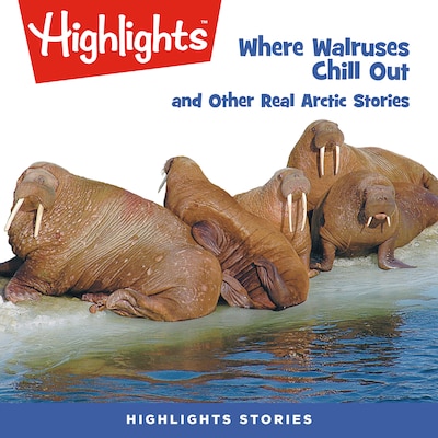 Where Walruses Chill Out and Other Real Arctic Stories – omslag til lydbogen af Highlights For Children