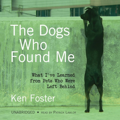 The Dogs Who Found Me – omslag til lydbogen af Ken Foster