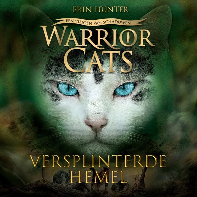 Versplinterde hemel