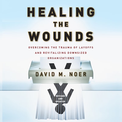 Healing the Wounds – omslag til lydbogen af David M. Noer