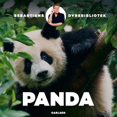 Sebastians dyrebibliotek - Panda – omslag til lydbogen af Sebastian Klein
