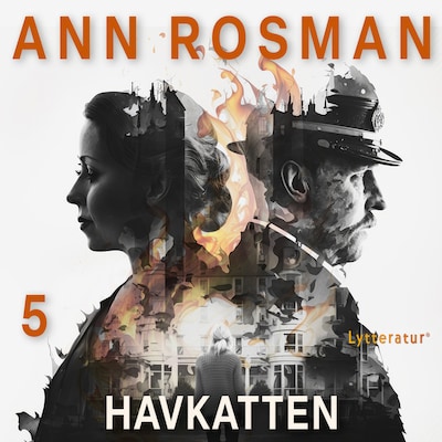 Havkatten – omslag til lydbogen af Ann Rosman