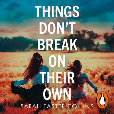 Things Don’t Break On Their Own – omslag til lydbogen af Sarah Easter Collins
