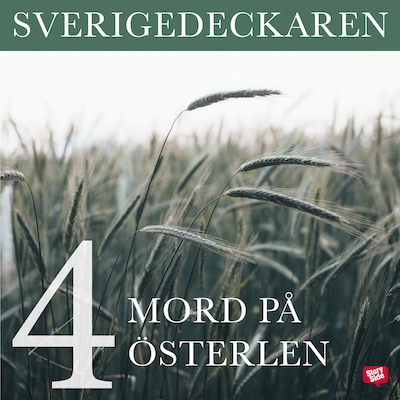 Mord på Österlen