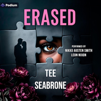 Erased – omslag til lydbogen af Tee Seabrone