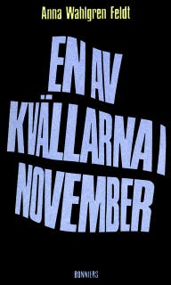 En av kvällarna i november : Noveller – omslag till ljudboken av Anna Wahlgren