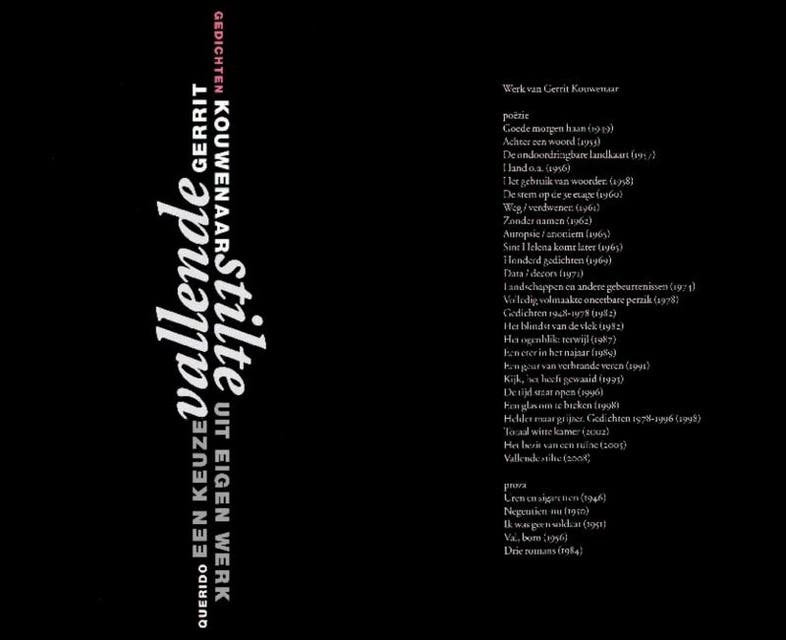 Vallende stilte: een keuze uit eigen werk