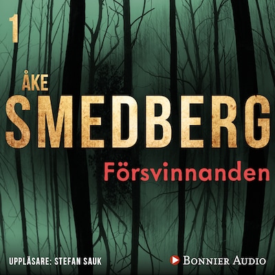 Försvinnanden