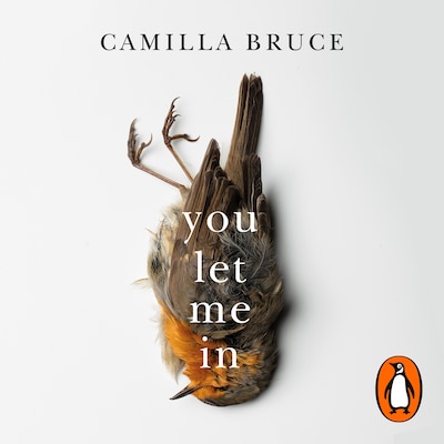 You Let Me In – omslag til lydbogen af Camilla Bruce