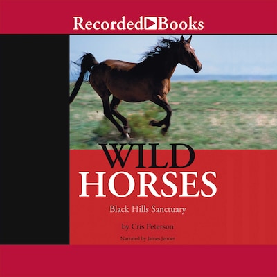 Wild Horses