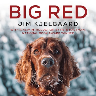 Big Red (75th Anniversary Edition) – omslag til lydbogen af Jim Kjelgaard