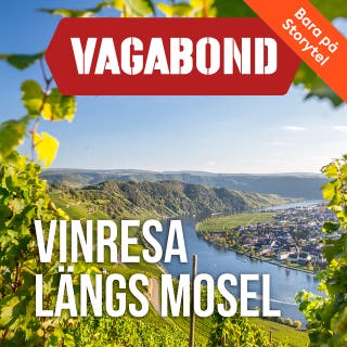 Vinresa längs Mosel