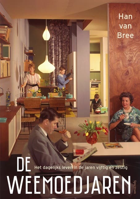 De weemoedjaren: Het dagelijks leven in de jaren vijftig en zestig