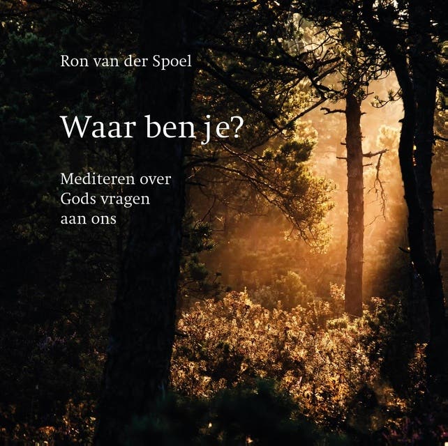 Waar ben je?: Mediteren over Gods vragen aan ons – omslag van het luisterboek van Ron van der Spoel