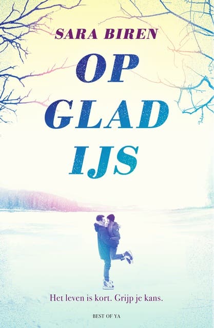 Op glad ijs – omslag van het luisterboek van Sara Biren