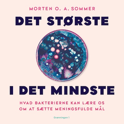 Det største i det mindste – omslag til lydbogen af Morten O.A. Sommer