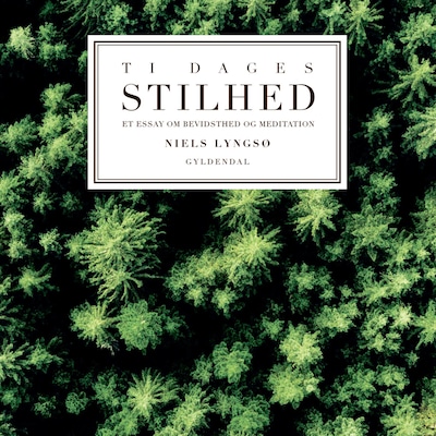 Ti dages stilhed – omslag til lydbogen af Niels Lyngsø