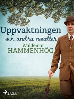 Uppvaktningen och andra noveller – omslag till ljudboken av Waldemar Hammenhög