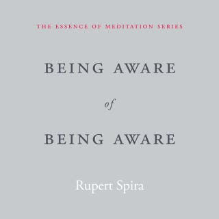 Being Aware of Being Aware