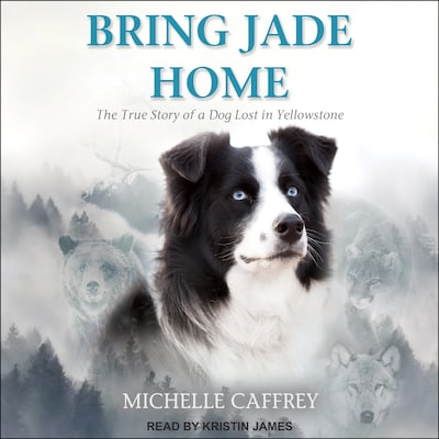 Bring Jade Home – omslag til lydbogen af Michelle Caffrey