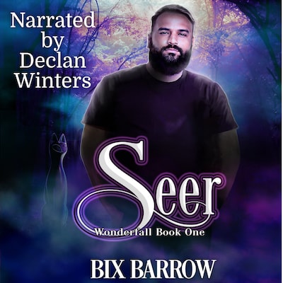 Seer – omslag til lydbogen af Bix Barrow