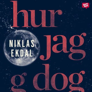 Hur jag dog : och fick klart för mig hur allt hänger ihop
