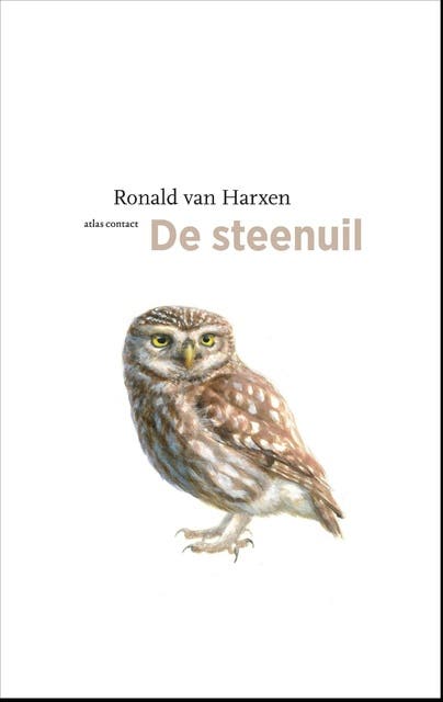De steenuil – omslag van het luisterboek van Ronald van Harxen
