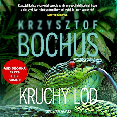 Kruchy lód – okładka audiobooka, autor Krzysztof Bochus