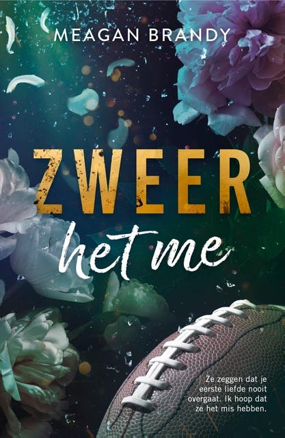 Zweer het me – omslag van het luisterboek van Meagan Brandy