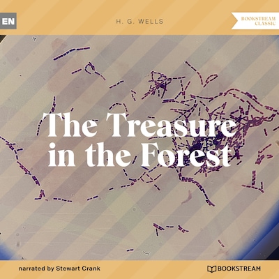 The Treasure in the Forest