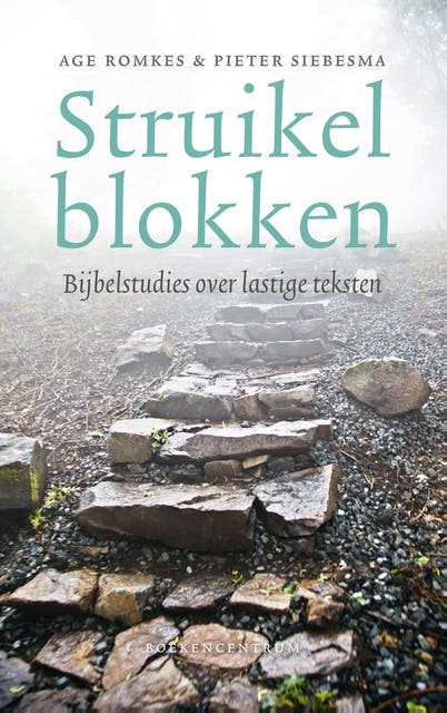 Struikelblokken: Bijbelstudies over lastige teksten – omslag van het luisterboek van Age Romkes,Pieter Siebesma