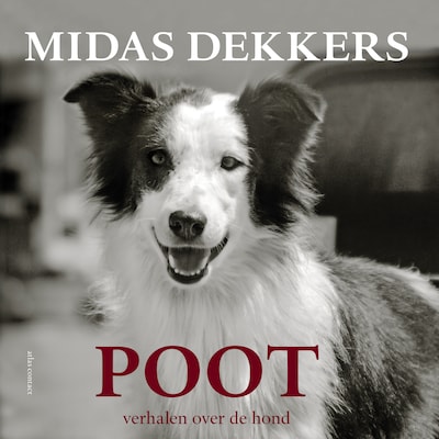 Poot – omslag van het luisterboek van Midas Dekkers