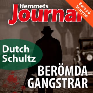 Dutch Schultz – En ensamvarg i gangstervärlden