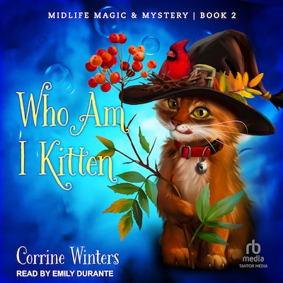 Who Am I Kitten – omslag til lydbogen af Corrine Winters
