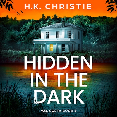 Hidden in the Dark