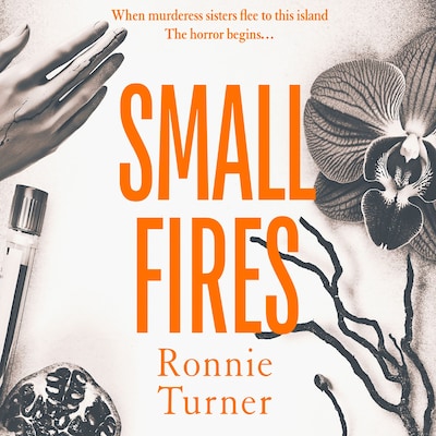 Small Fires – omslag til lydbogen af Ronnie Turner