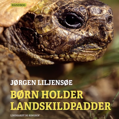 Børn holder landskildpadder – omslag til lydbogen af Jørgen Liljensøe